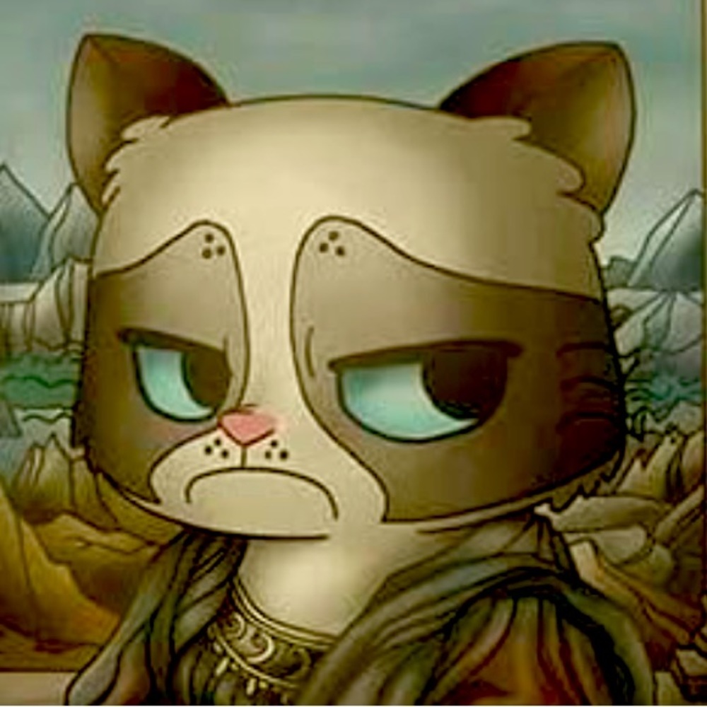 Grumpy Cat ( And Pokey!) Book And Stickers